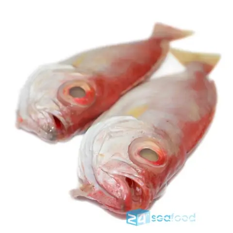 Cá Bã Trầu Là Gì? Đặc Điểm, Nguồn Gốc Và Các Món Ngon Phổ Biến