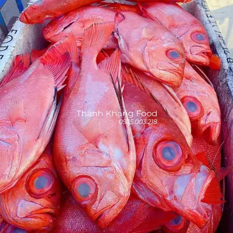 Cá Bã Trầu Là Gì? Đặc Điểm, Nguồn Gốc Và Các Món Ngon Phổ Biến