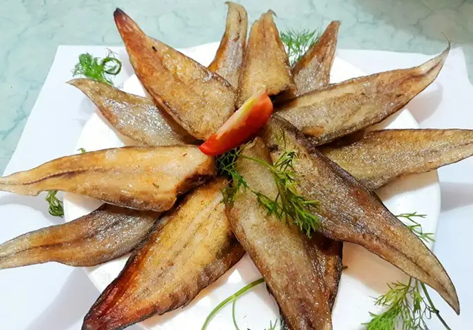 Hình Ảnh Cá Bơn: Tổng Hợp & Thông Tin Chi Tiết Từ A-z Hình Ảnh Cá Bơn: Tổng Hợp & Thông Tin Chi Tiết Từ A-z