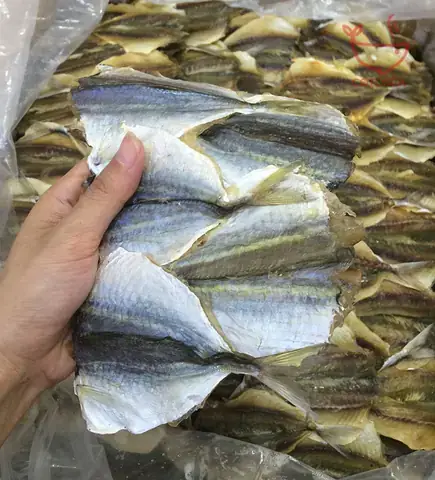 Hình Ảnh Cá Chỉ Vàng: Đặc Điểm Nhận Biết, Nguồn Gốc Và Giá Trị
