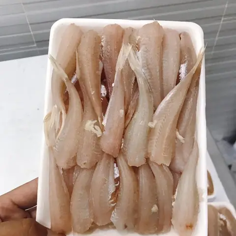 Hình Ảnh Cá Đùi Gà: Nhận Diện, Chế Biến & Món Ngon Hấp Dẫn
