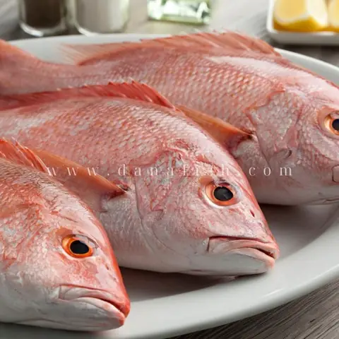 Hình Ảnh Cá Hồng Đẹp & Các Loại Phổ Biến: Hướng Dẫn Chi Tiết