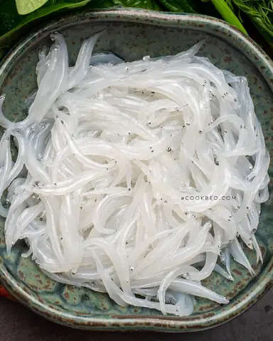 Hình Ảnh Cá Ngần: Khám Phá Đặc Điểm, Mùa Vụ Và Cách Chế Biến Ngon