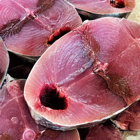 Hình Ảnh Cá Ngừ Bò: Đặc Điểm Nhận Dạng Và Các Món Ăn Ngon