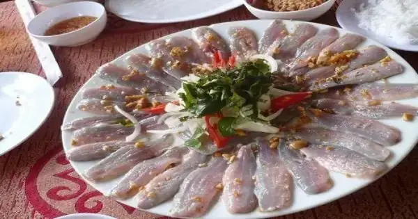 Hình Ảnh Cá Nhệch: Khám Phá Đặc Sản Đồng Quê & Món Gỏi Hấp Dẫn