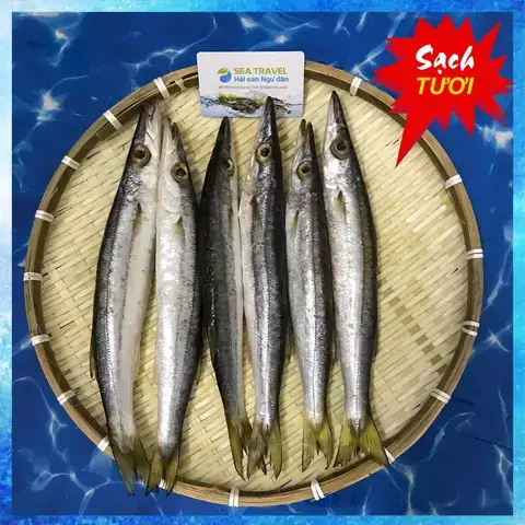 Hình Ảnh Cá Nhồng: Đặc Điểm, Phân Loại & Các Món Ngon Dễ Làm