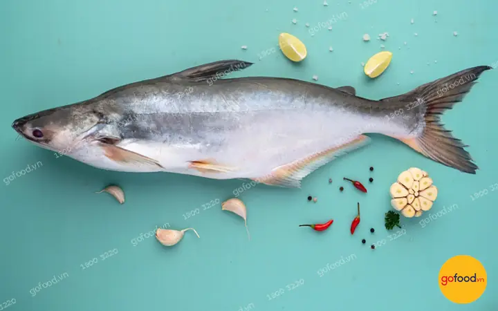 Hình Ảnh Cá Saba: Khám Phá Kho Ảnh Đẹp Và Ý Tưởng Sáng Tạo