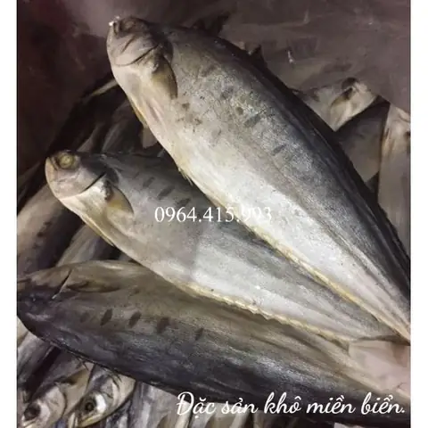 Hình Ảnh Cá Thu Bè: Đặc Điểm, Phân Loại Và Giá Trị Nổi Bật