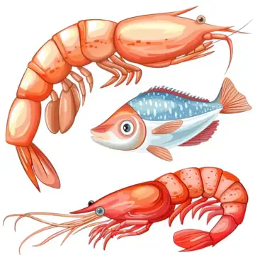 Hình Ảnh Cá Tôm: Ý Nghĩa, Biểu Tượng Sung Túc Và Nguồn Tài Nguyên Miễn Phí Hình Ảnh Cá Tôm: Ý Nghĩa, Biểu Tượng Sung Túc Và Nguồn Tài Nguyên Miễn Phí