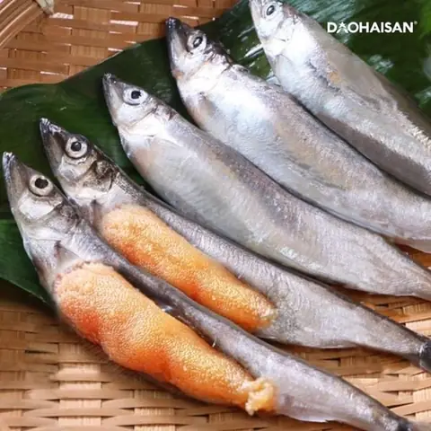Hình Ảnh Cá Trứng: Khám Phá Đặc Điểm, Lợi Ích Và Cách Chế Biến Ngon
