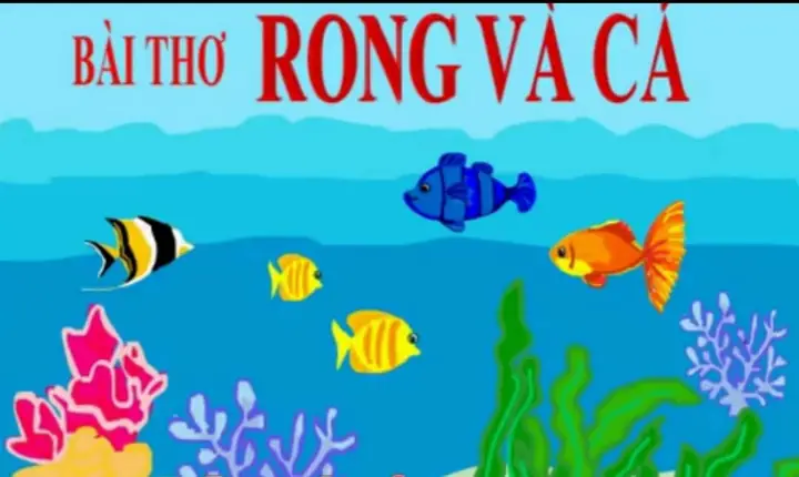 Bài Thơ "rong Và Cá" Của Phạm Hổ: Ý Nghĩa, Hình Ảnh Và Cách Đọc Hay Nhất Cho Bé
