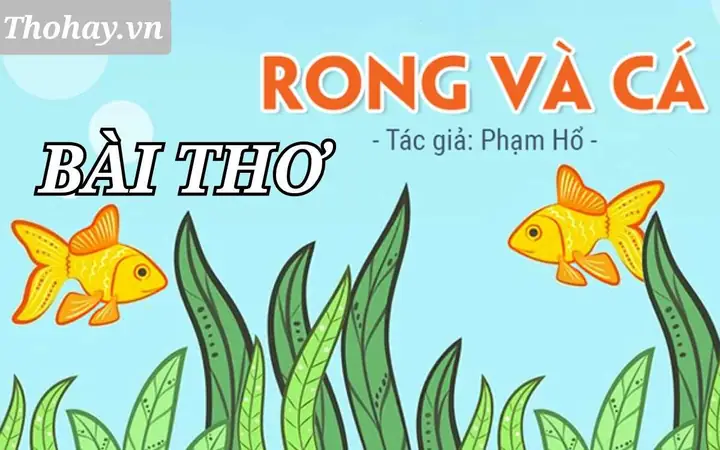 Bài Thơ "rong Và Cá" Của Phạm Hổ: Ý Nghĩa, Hình Ảnh Và Cách Đọc Hay Nhất Cho Bé