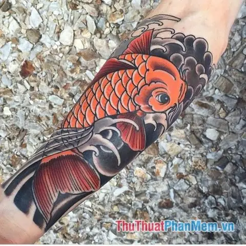 Tuyển Tập Hình Ảnh Cá Chép Đẹp Nhất: Koi, Hóa Rồng, Truyền Thống & Ý Nghĩa Tuyển Tập Hình Ảnh Cá Chép Đẹp Nhất: Koi, Hóa Rồng, Truyền Thống & Ý Nghĩa