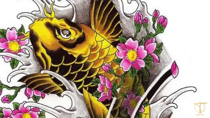 Tuyển Tập Hình Ảnh Cá Chép Đẹp Nhất: Koi, Hóa Rồng, Truyền Thống & Ý Nghĩa Tuyển Tập Hình Ảnh Cá Chép Đẹp Nhất: Koi, Hóa Rồng, Truyền Thống & Ý Nghĩa