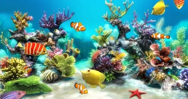 Hình Động Bể Cá: Khám Phá Video, Hình Nền & Ứng Dụng Sống Động