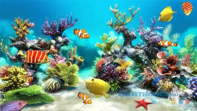 Hình Nền Bể Cá 3d Đẹp Mắt Cho Máy Tính: Tải Miễn Phí & Hướng Dẫn Cài Đặt