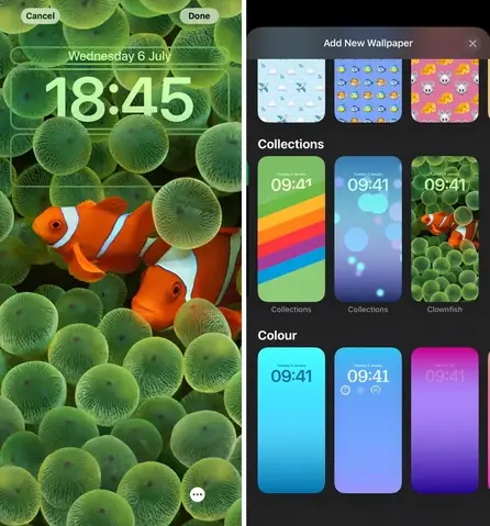 Hình Nền Cá Hề Iphone: Khám Phá Mẫu Đẹp & Hướng Dẫn Cài Đặt