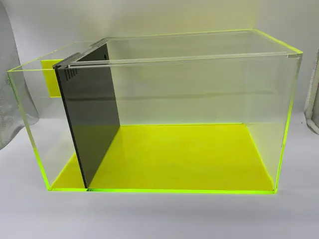 Hồ Cá Acrylic: Ưu Nhược Điểm, So Sánh Và Lưu Ý Khi Lựa Chọn