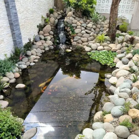 Hướng Dẫn Chi Tiết Cách Trang Trí Hồ Cá Bằng Đá Cuội Đẹp & Độc Đáo