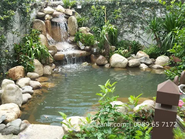 Hướng Dẫn Chi Tiết Cách Trang Trí Hồ Cá Bằng Đá Cuội Đẹp & Độc Đáo