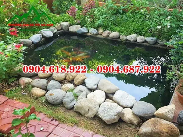 Hướng Dẫn Chi Tiết Cách Trang Trí Hồ Cá Bằng Đá Cuội Đẹp & Độc Đáo