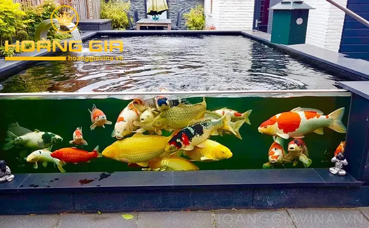 Hướng Dẫn Chi Tiết Cách Làm Hồ Cá Bằng Kính Đẹp Tại Nhà & Lưu Ý Quan Trọng