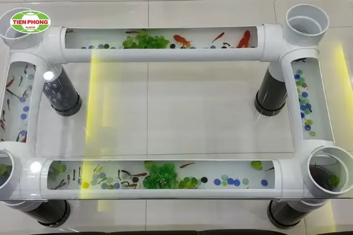 Hướng Dẫn Chi Tiết Cách Làm Hồ Cá Bằng Ống Nhựa Pvc Đơn Giản Tại Nhà