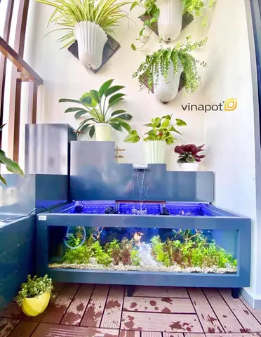 Hướng Dẫn Chi Tiết: Biến Chậu Cây Thành Hồ Cá Mini Đẹp, Độc Đáo Hướng Dẫn Chi Tiết: Biến Chậu Cây Thành Hồ Cá Mini Đẹp, Độc Đáo