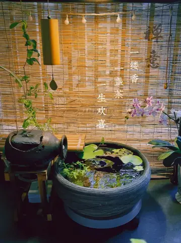 Hướng Dẫn Chi Tiết: Biến Chậu Cây Thành Hồ Cá Mini Đẹp, Độc Đáo Hướng Dẫn Chi Tiết: Biến Chậu Cây Thành Hồ Cá Mini Đẹp, Độc Đáo