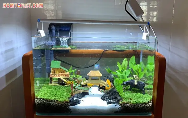 Mua Bán Hồ Cá Cũ Giá Rẻ Tphcm: Top Địa Chỉ Uy Tín & Kinh Nghiệm