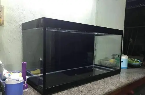 Mua Bán Hồ Cá Cũ Giá Rẻ Tphcm: Top Địa Chỉ Uy Tín & Kinh Nghiệm