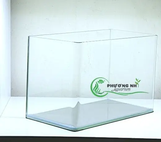 Hồ Cá Đúc 50cm: Kích Thước, Đặc Điểm Và Lưu Ý Lựa Chọn Hồ Cá Đúc 50cm: Kích Thước, Đặc Điểm Và Lưu Ý Lựa Chọn