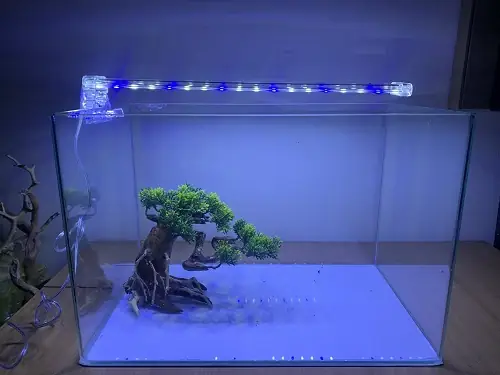 Hồ Cá Đúc 50cm: Kích Thước, Đặc Điểm Và Lưu Ý Lựa Chọn Hồ Cá Đúc 50cm: Kích Thước, Đặc Điểm Và Lưu Ý Lựa Chọn