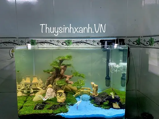 Hồ Cá Đúc 50cm: Kích Thước, Đặc Điểm Và Lưu Ý Lựa Chọn Hồ Cá Đúc 50cm: Kích Thước, Đặc Điểm Và Lưu Ý Lựa Chọn