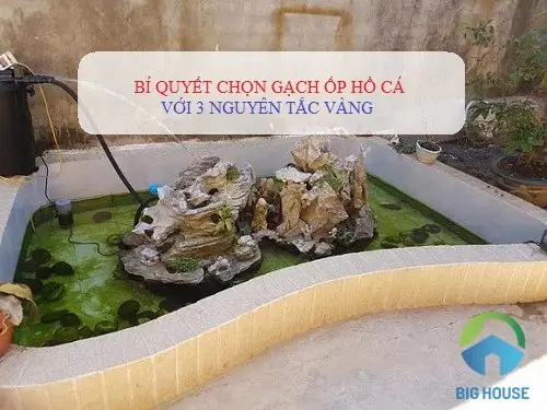 Hồ Cá Gạch Men: Hướng Dẫn Thi Công, Chống Thấm & Lưu Ý An Toàn