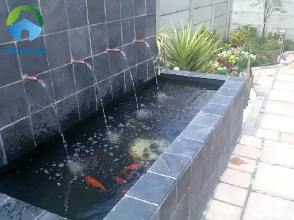 Hồ Cá Gạch Men: Hướng Dẫn Thi Công, Chống Thấm & Lưu Ý An Toàn