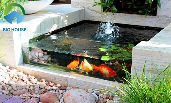 Hồ Cá Gạch Men: Hướng Dẫn Thi Công, Chống Thấm & Lưu Ý An Toàn