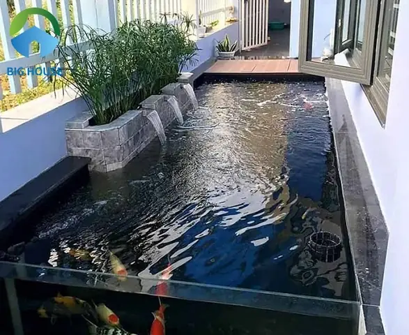 Hồ Cá Gạch Men: Hướng Dẫn Thi Công, Chống Thấm & Lưu Ý An Toàn