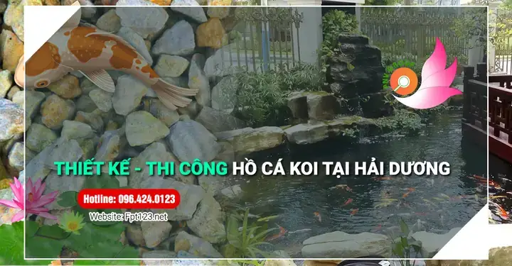 Hồ Cá Kiểng Hải Dương: Tư Vấn, Thiết Kế & Thi Công Trọn Gói