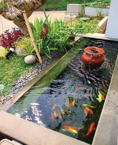 Hồ Cá Hiện Đại: 20+ Mẫu Thiết Kế Sáng Tạo & Xu Hướng Mới Nhất