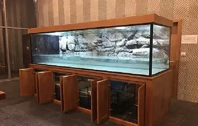 Hồ Cá Jebo 1m2 Giá Bao Nhiêu? Bảng Giá & Thông Tin Chi Tiết 2024