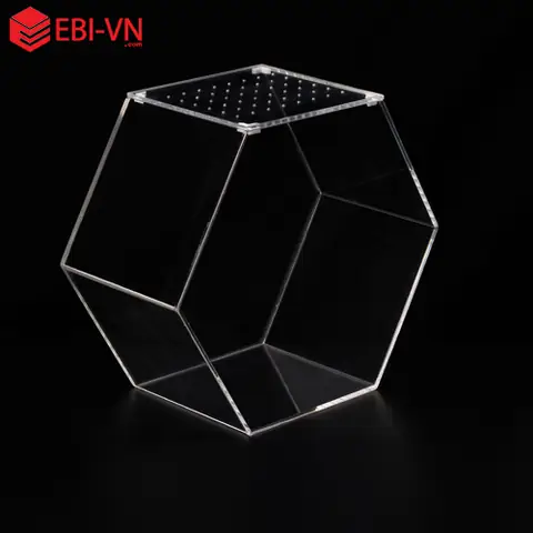Hồ Cá Lục Giác: Hướng Dẫn Chọn, Setup Và Trang Trí Ấn Tượng