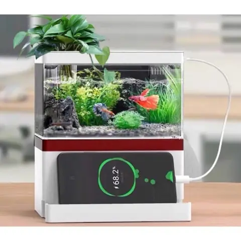 Hồ Cá Mini Có Lọc: Cẩm Nang Chọn Mua & Nuôi Dưỡng Đơn Giản Hồ Cá Mini Có Lọc: Cẩm Nang Chọn Mua & Nuôi Dưỡng Đơn Giản