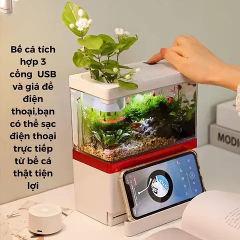 Hồ Cá Mini Có Lọc: Cẩm Nang Chọn Mua & Nuôi Dưỡng Đơn Giản Hồ Cá Mini Có Lọc: Cẩm Nang Chọn Mua & Nuôi Dưỡng Đơn Giản