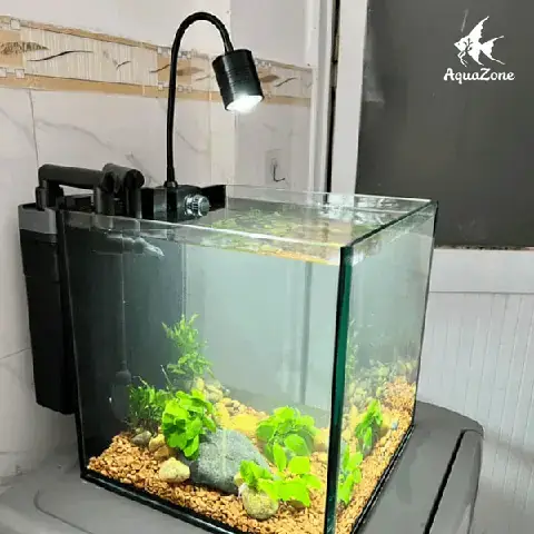 Hồ Cá Mini Có Lọc: Cẩm Nang Chọn Mua & Nuôi Dưỡng Đơn Giản Hồ Cá Mini Có Lọc: Cẩm Nang Chọn Mua & Nuôi Dưỡng Đơn Giản
