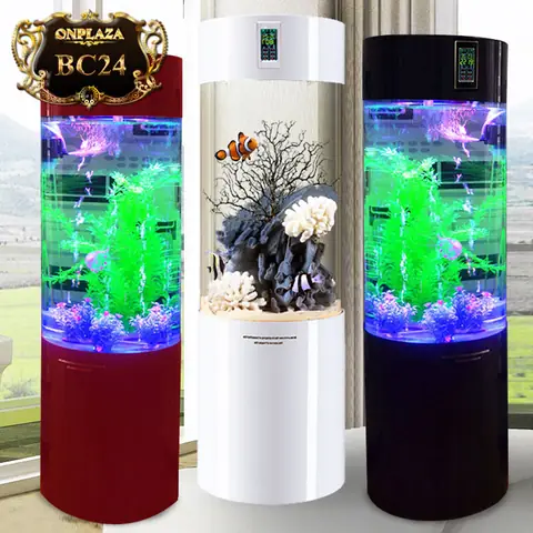 Hồ Cá Mini Có Lọc: Cẩm Nang Chọn Mua & Nuôi Dưỡng Đơn Giản Hồ Cá Mini Có Lọc: Cẩm Nang Chọn Mua & Nuôi Dưỡng Đơn Giản