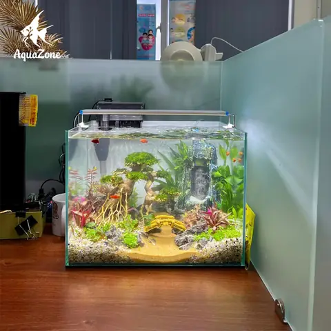 Hồ Cá Mini Đẹp, Giá Rẻ: Mẫu Mã, Kích Thước & Kinh Nghiệm Chọn Mua