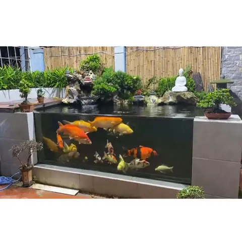 Hồ Cá Mini Sân Thượng: Hướng Dẫn Thiết Kế, Thi Công & Lưu Ý Phong Thủy