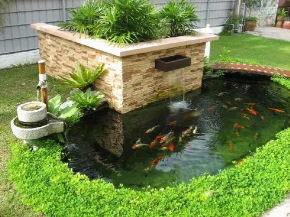 Hồ Cá Nghệ Thuật: Kiến Tạo Không Gian Sống Thăng Hoa Từ A-z