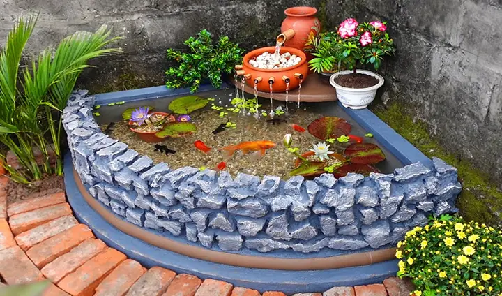 Hồ Cá Ngoài Trời Đơn Giản: Hướng Dẫn Chi Tiết Từ A-z Cho Người Mới